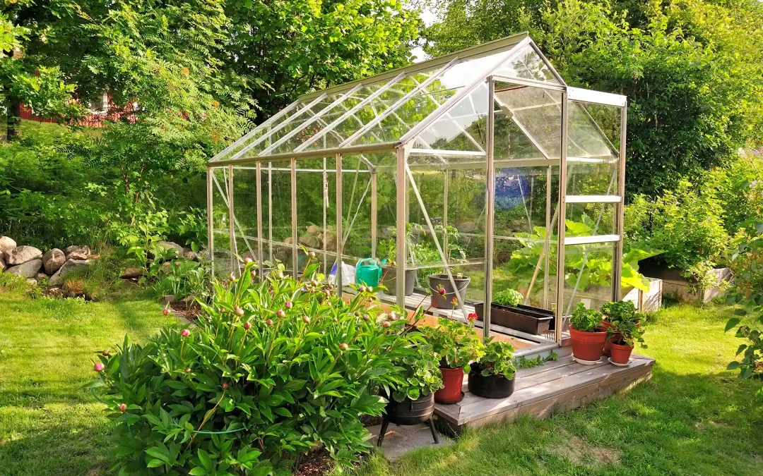 Do You Need Planning Permission for a Greenhouse?